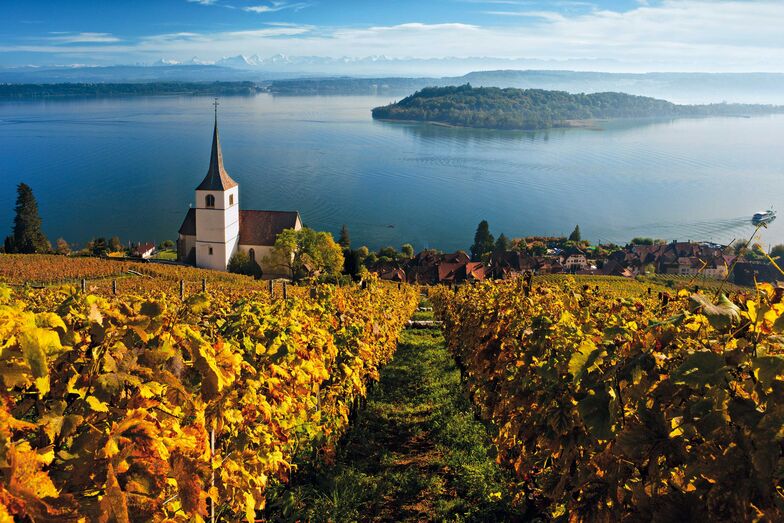 Vue automnale de Gléresse, le lac de Bienne, l’île Saint-Pierre et les Alpes.