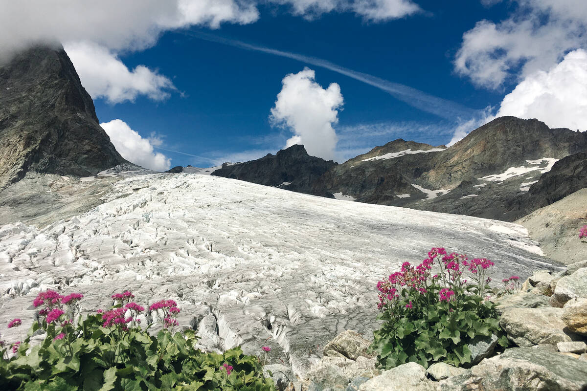 Auf Tuchfühlung mit der Gletscherzunge des Barre des Écrins im gleichnamigen Nationalpark.