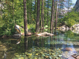 Souvent, les campings sont en pleine nature et offrent de magnifiques emplacements pour passer la nuit.