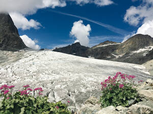 On côtoie la  langue glaciaire de la Barre des  Écrins dans  le parc national  du même nom.