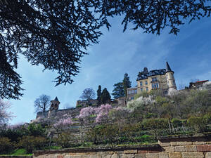 Sur les hauteurs de Neustadt-Haardt, le château de la Haardt surplombe les coteaux.