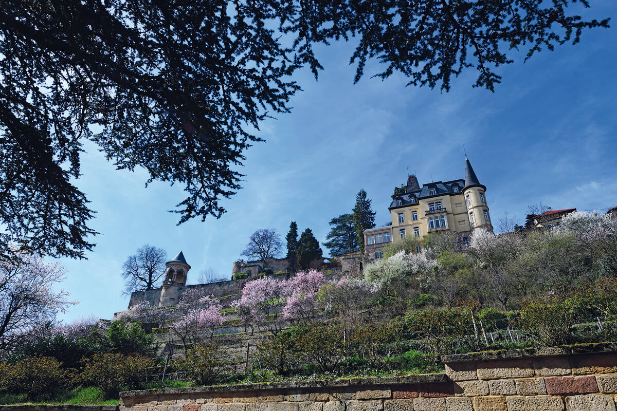 Sur les hauteurs de Neustadt-Haardt, le château de la Haardt surplombe les coteaux.