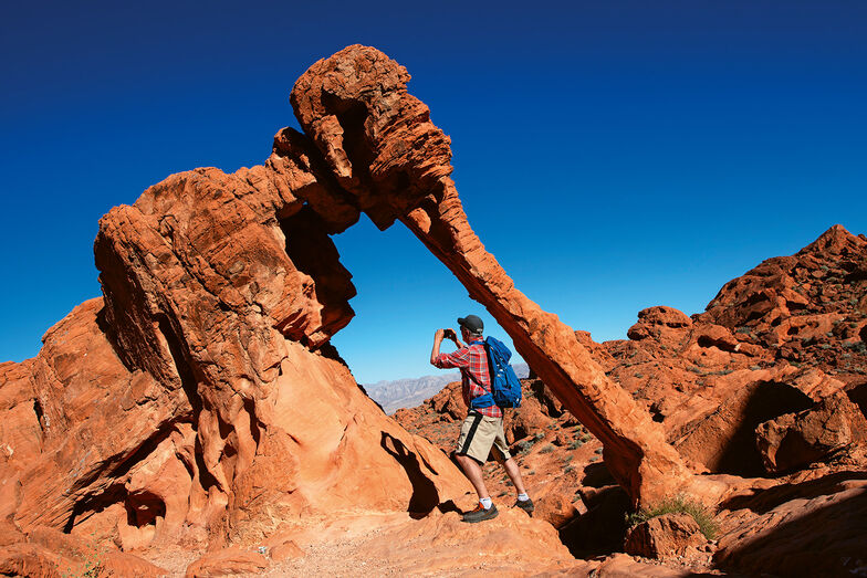 Der Elephant Rock gleich am Osteingang des Parks macht seinem Namen alle Ehre. Unbedingt die paar Höhenmeter hochsteigen.