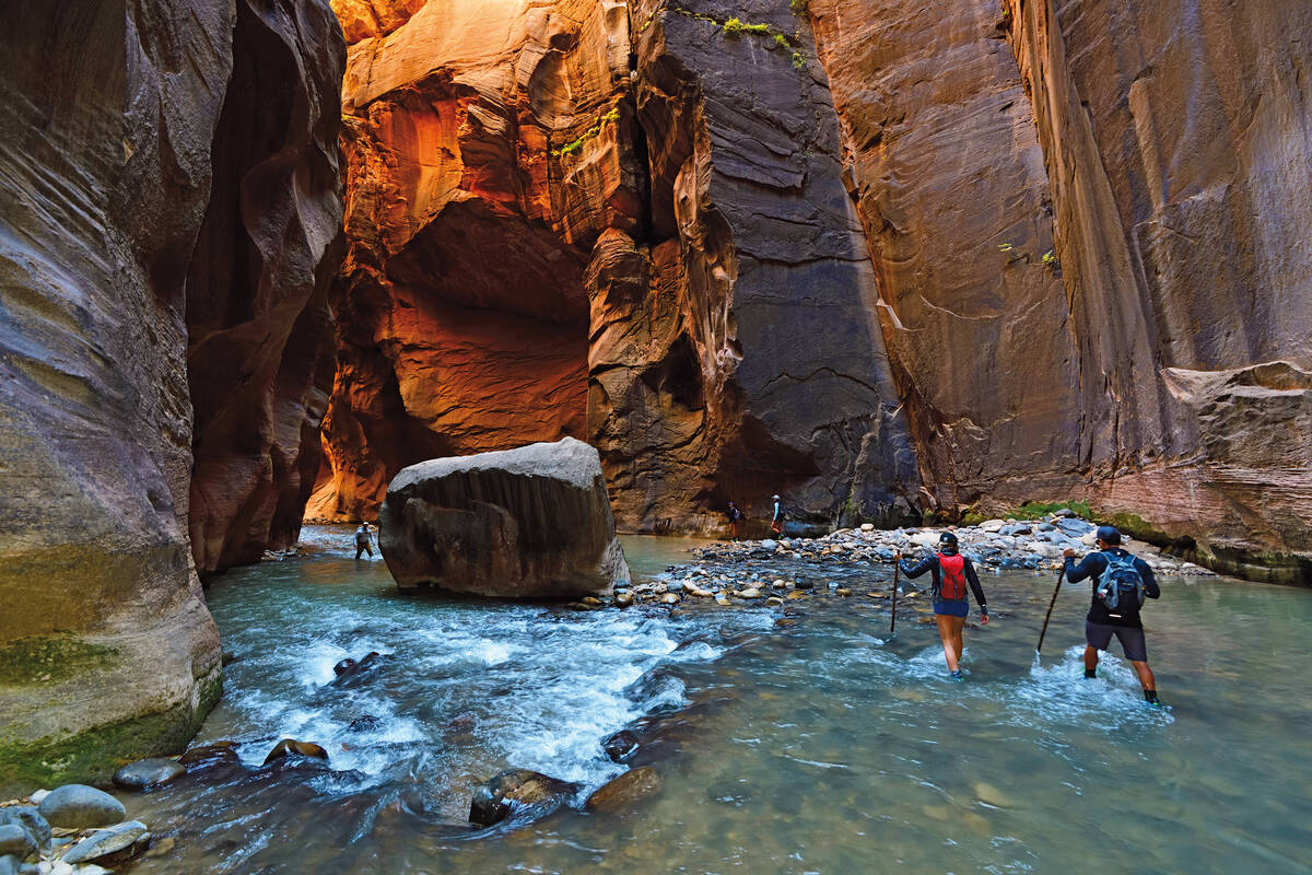 C’est en marchant dans l’eau au fond d’un étroit canyon qu’on découvre les «narrows» de la Virgin River, dans le Parc national de Zion.