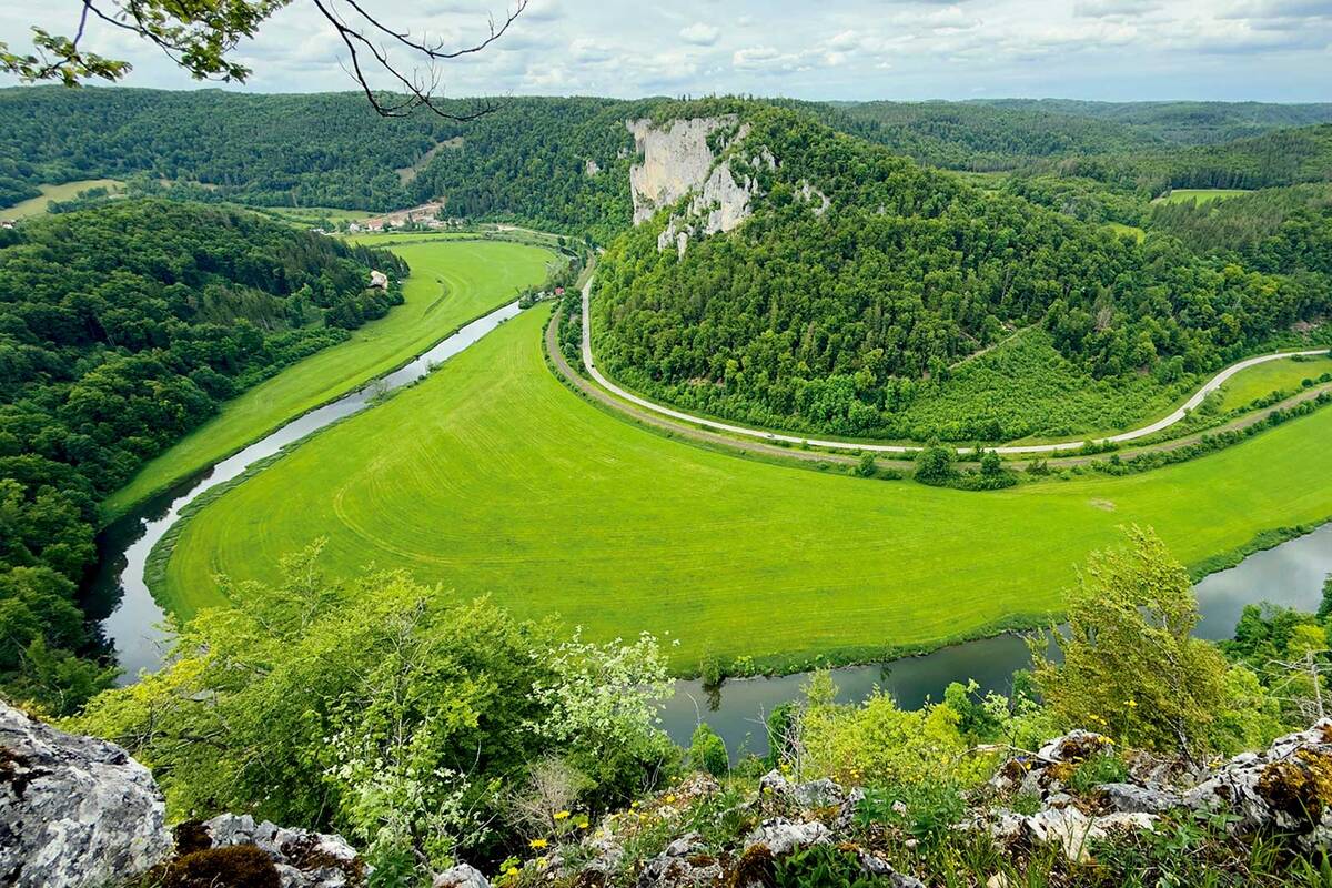 Le jeune Danube serpente en larges méandres à travers la vallée du Danube supérieur, encadré par les falaises jurassiques boisées du Jura souabe.