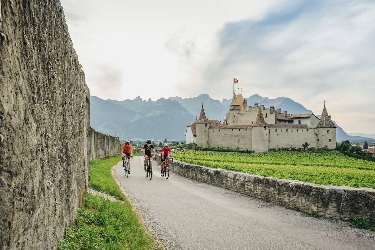 Das Château d’Aigle besteht aus einer starken Ringmauer mit drei Ecktürmen und beherbergt ein Weinmuseum.