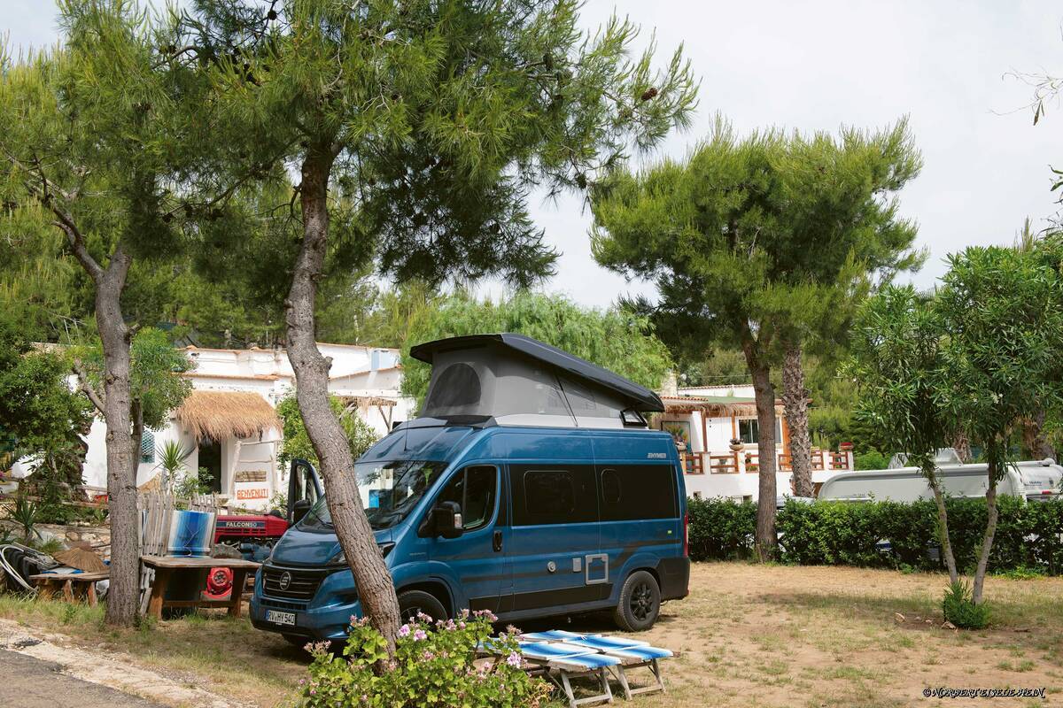 Im wunderbar nah am Strand liegenden Camping Baia da Nicola spenden Pinien Schatten.