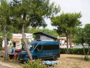 Im wunderbar nah am Strand liegenden Camping Baia da Nicola spenden Pinien Schatten.