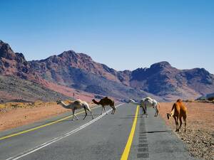 Sur de bonnes routes en direction d’Abha, dans le sud de l’Arabie saoudite, toujours avec la possibilité d’opter pour un dromadaire.