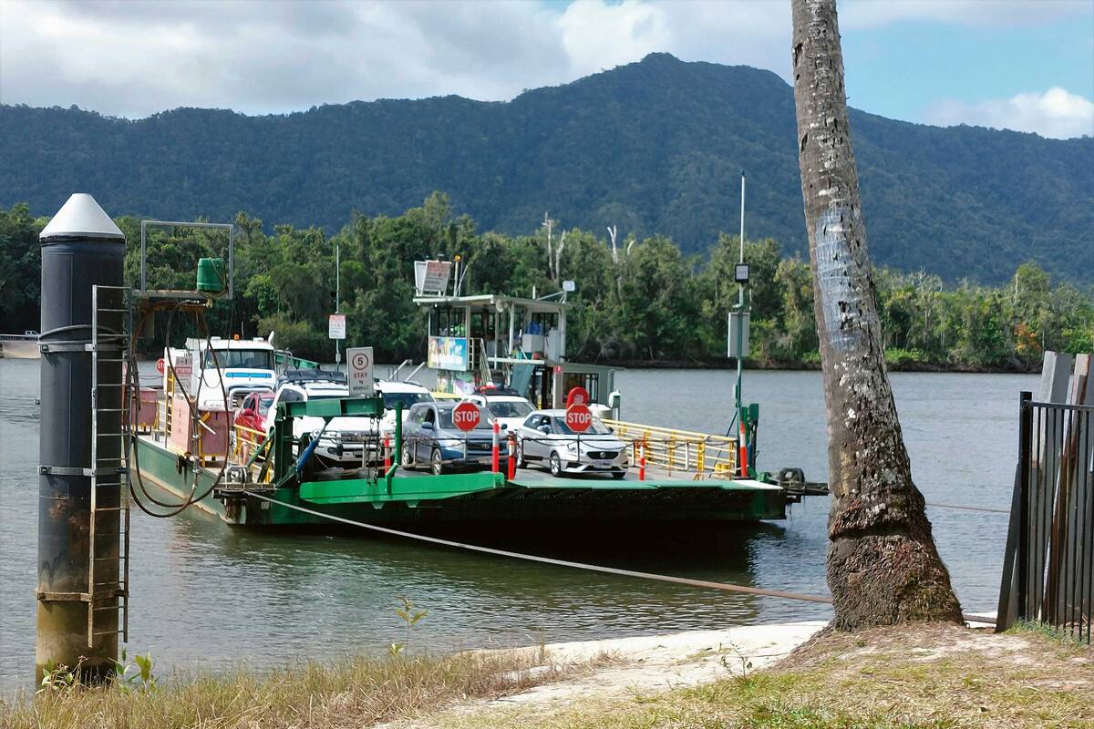 Nous utilisons, nous aussi, le bac à câble pour traverser la rivière Daintree.