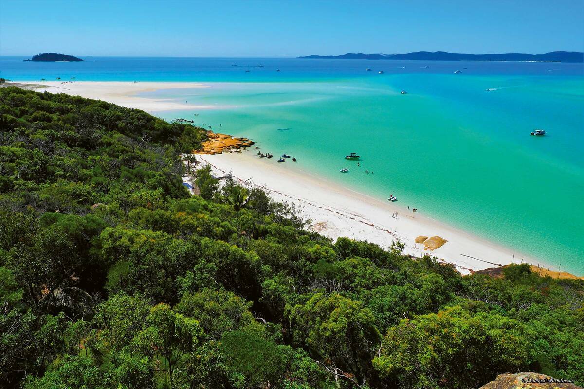 L&#039;île du Parc national des îles Whitsunday, envahie de hoop pines (pins cerceaux), à l’aspect frappant, a une allure paradisiaque.