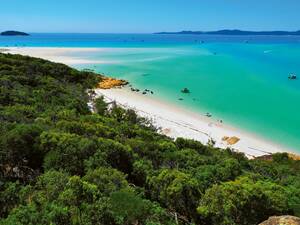 L'île du Parc national des îles Whitsunday, envahie de hoop pines (pins cerceaux), à l’aspect frappant, a une allure paradisiaque.