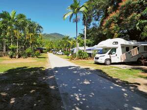 Immersion dans la nature tropicaux.