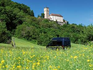 Montée vers le château de Guttenberg, qui abrite la Deutsche Greifenwarte et un musée très intéressant.