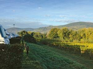 Campen zwischen den Weinreben: auf dem Stellplatz beim Juffer  Winzer nahe Brauneberg.