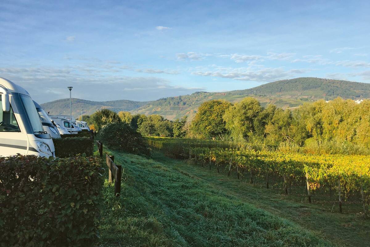 Campen zwischen den Weinreben: auf dem Stellplatz beim Juffer  Winzer nahe Brauneberg.