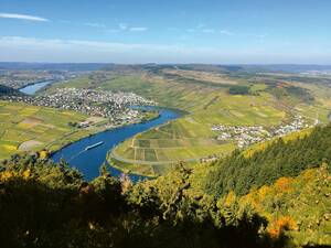 Von den oberhalb des Moseltals angelegten Wanderwegen geniesst man herrliche Blicke auf die vielen weiten Moselschleifen.