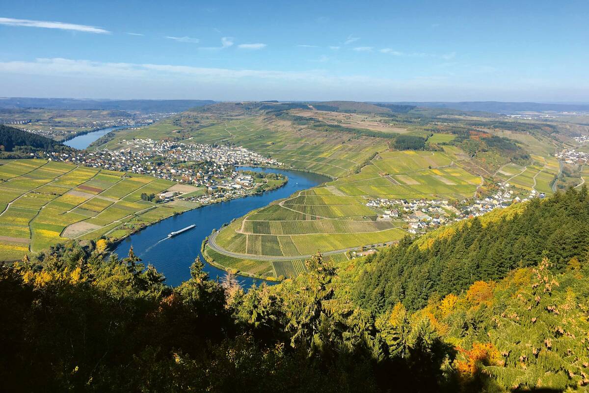 Von den oberhalb des Moseltals angelegten Wanderwegen geniesst man herrliche Blicke auf die vielen weiten Moselschleifen.