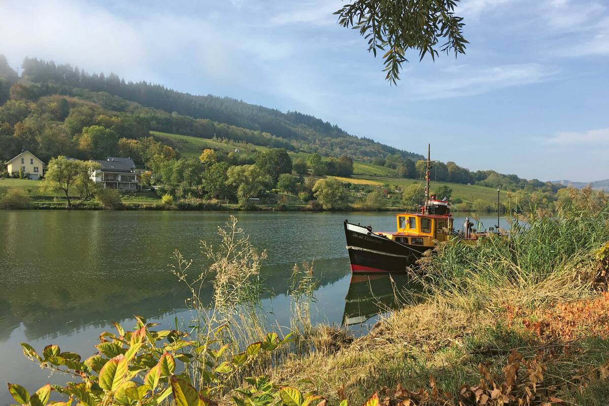 Herbstliche Morgenidylle am Moselufer.