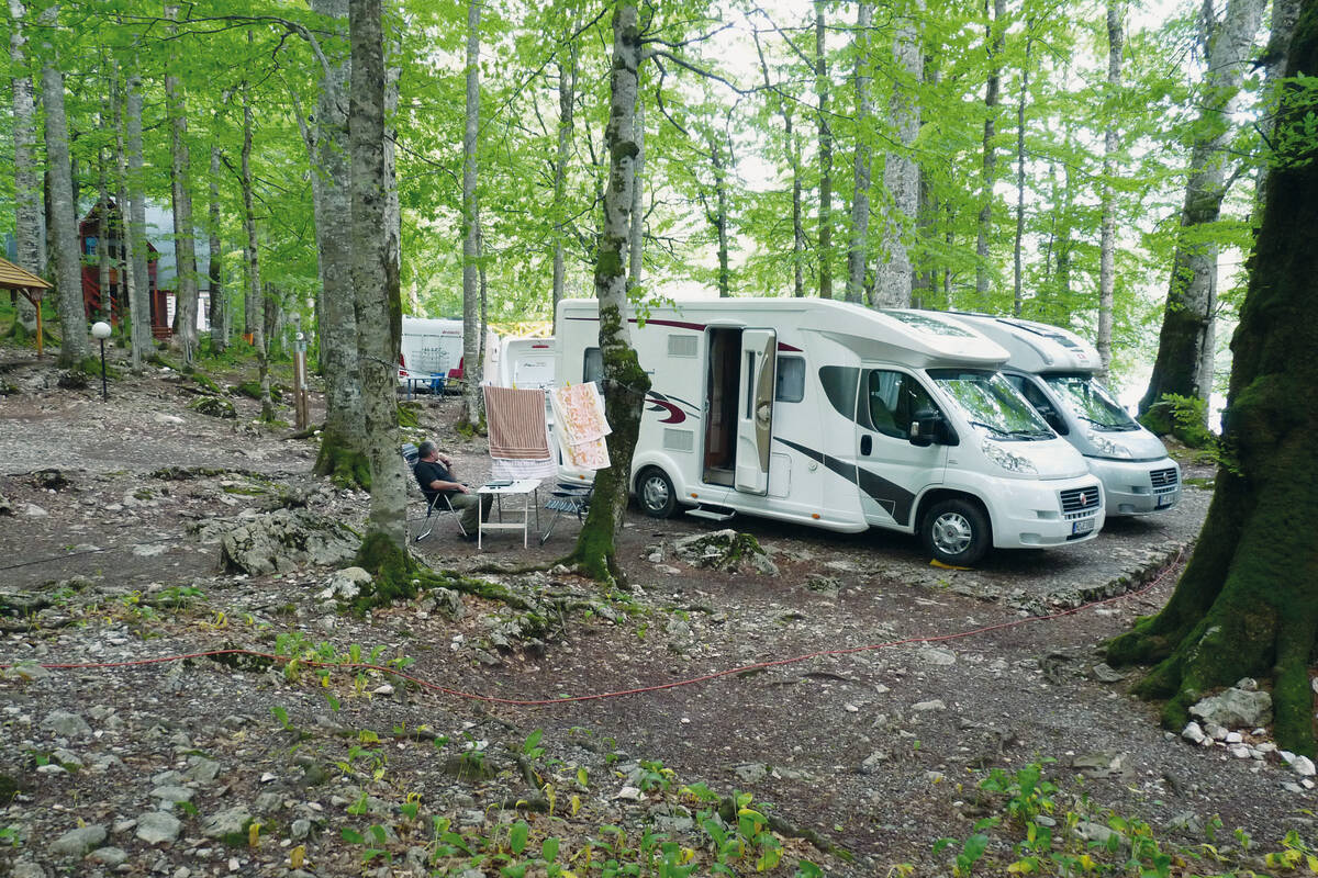 Exklusiver Übernachtungsplatz in einem weitläufigen Waldstück unter  uralten Buchen und Eichen im Biogradska Gora Nationalpark.