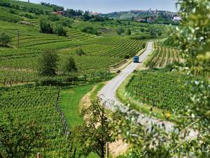 Les vignobles à l’organisation exemplaire de Brda sont facilement accessibles par de nombreuses routes secondaires balisées.