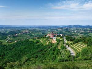 Vue sur la région viticole et le château de Dobrovo.