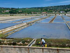 Tour à vélo le long des salines de Sečovlje.