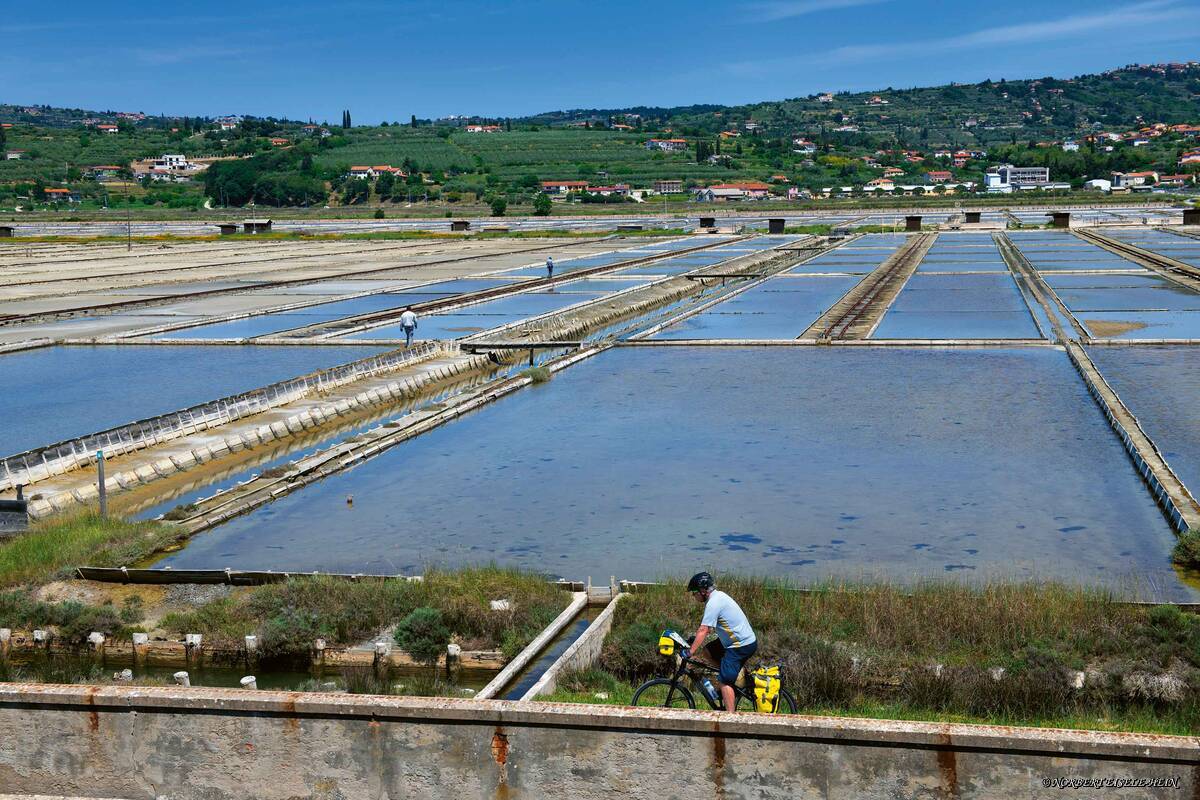 Tour à vélo le long des salines de Sečovlje.