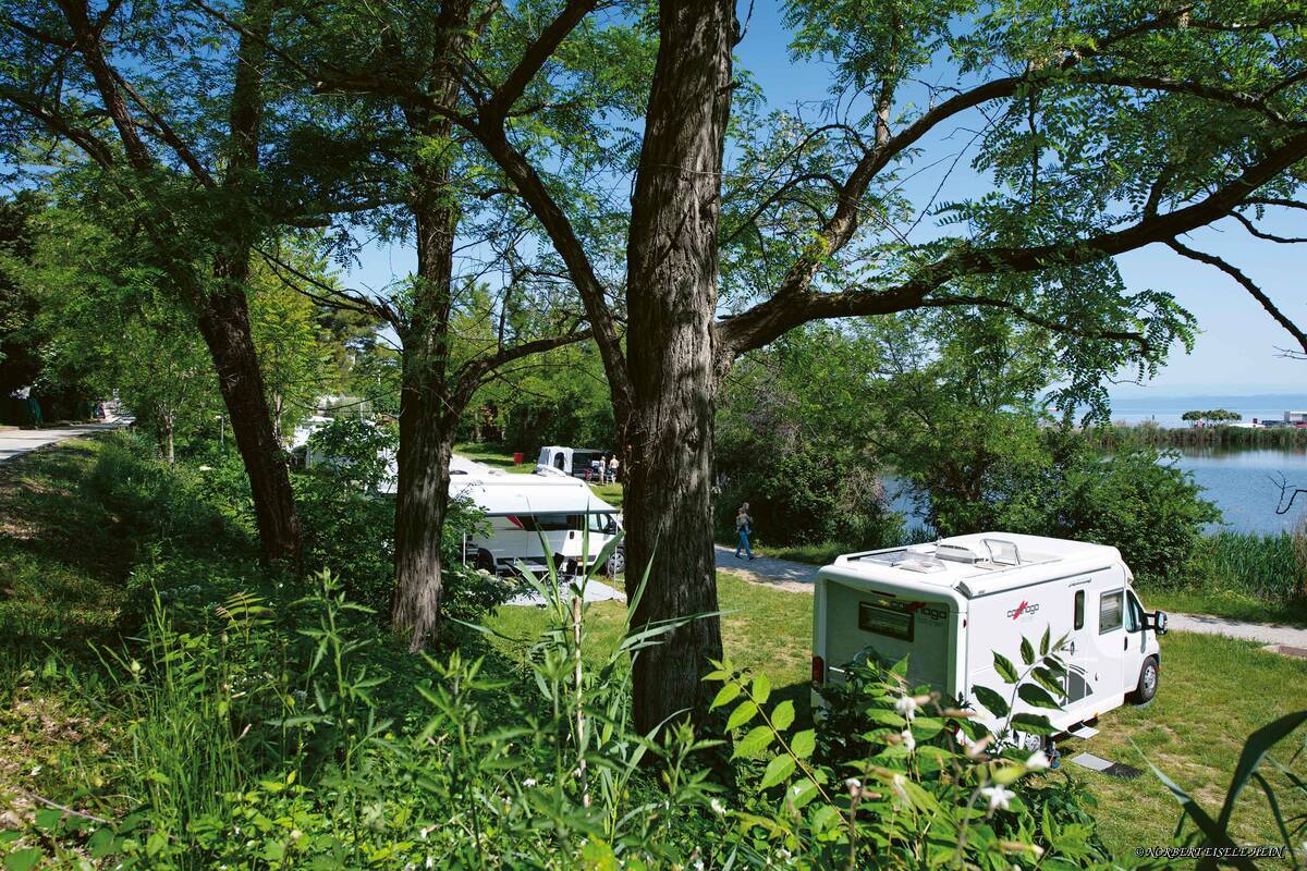 Séjour idyllique au camping Lucija.