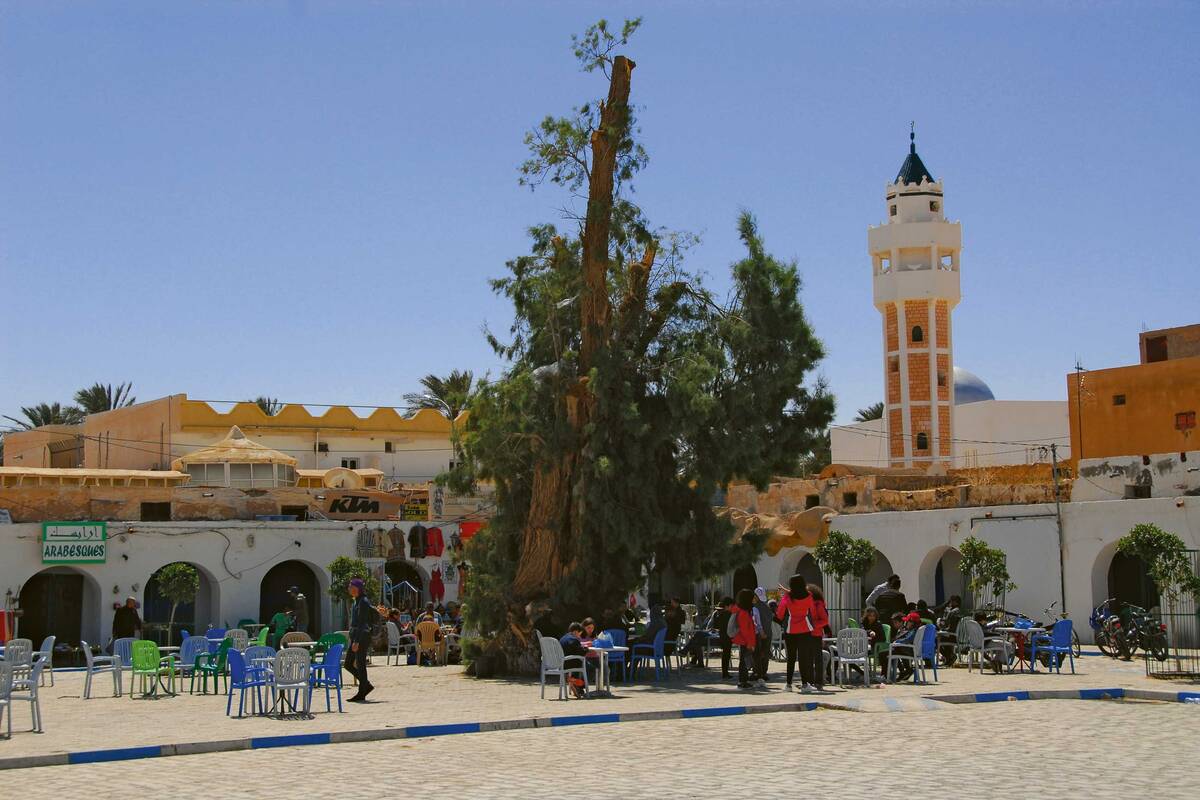 Sur la place du marché, avec vue sur l’une des nombreuses mosquées de Douz, nous découvrons la vie quotidienne tunisienne.