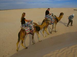 Excursion à dos de dromadaire dans le Sahara : nous visitons les dunes d’El Hofra.