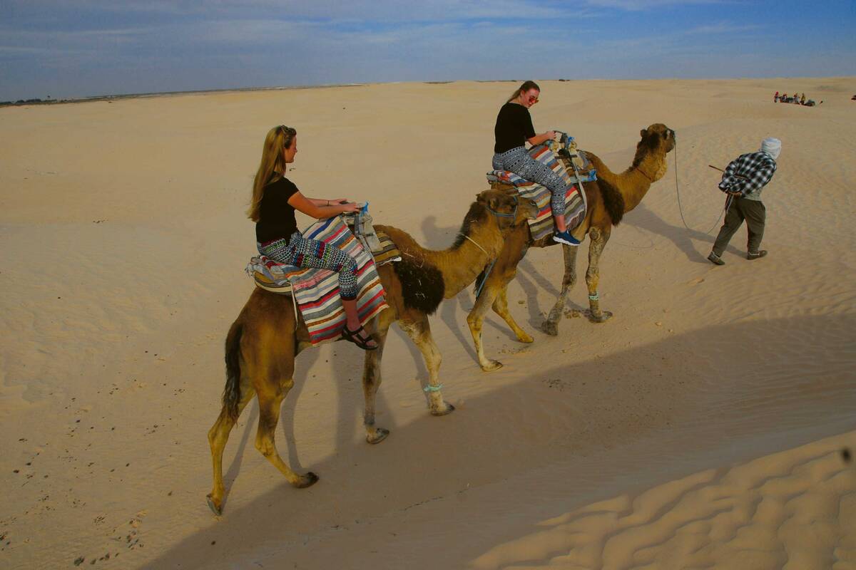 Excursion à dos de dromadaire dans le Sahara : nous visitons les dunes d’El Hofra.